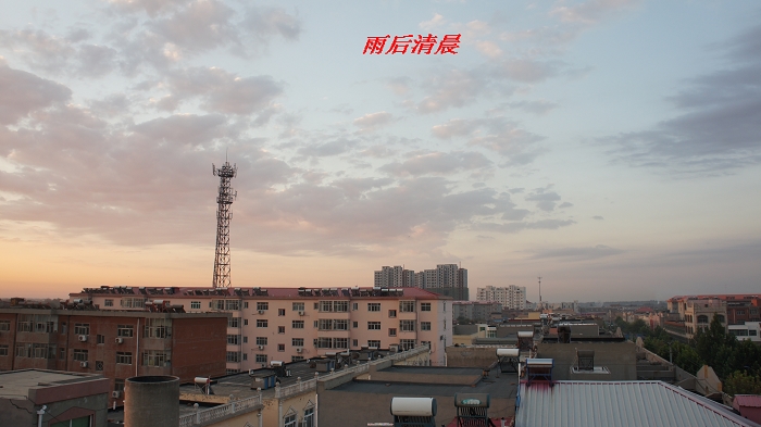 DSC05878.jpg