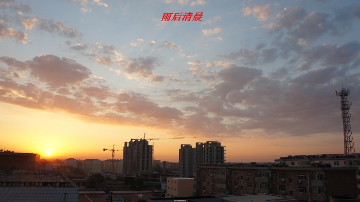 DSC05879.jpg