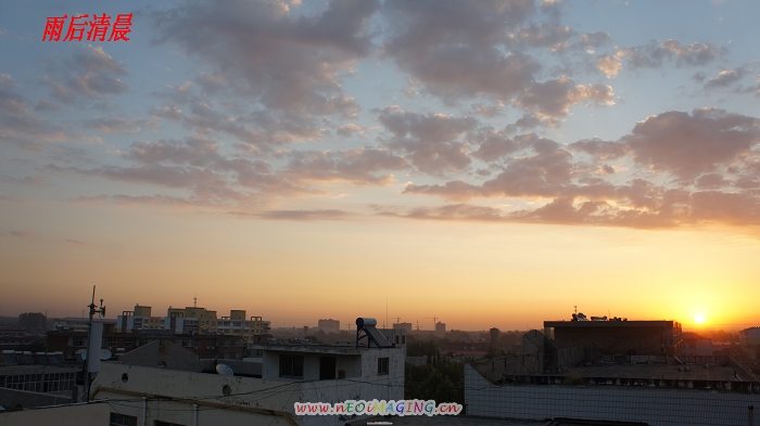 DSC05880.jpg