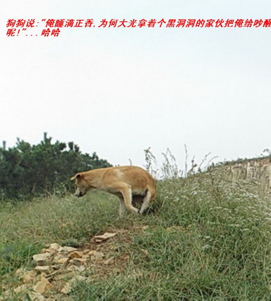 135836o6ryomentxn4vrm6.jpg