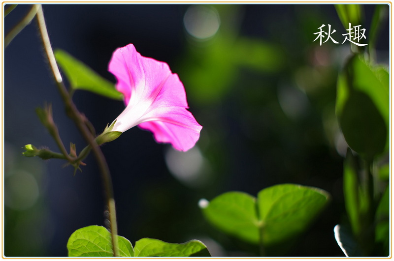 2_副本.jpg