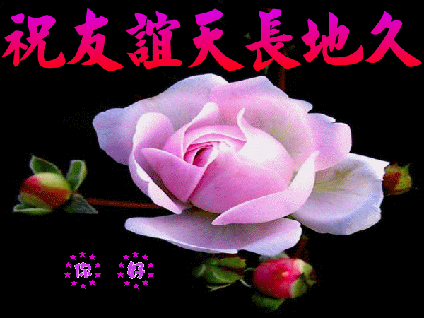 祝友谊天长地久.gif