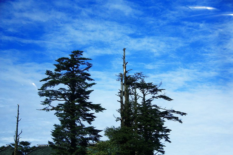 _MG_6077.JPG