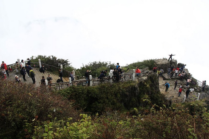 _MG_6252.JPG