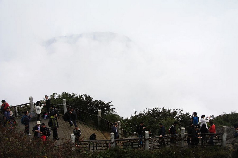 _MG_6253.JPG