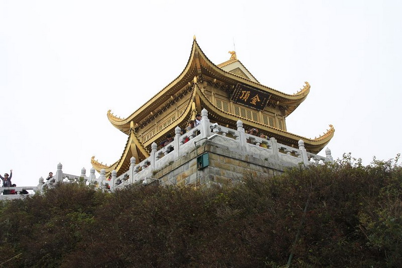 _MG_6272.JPG