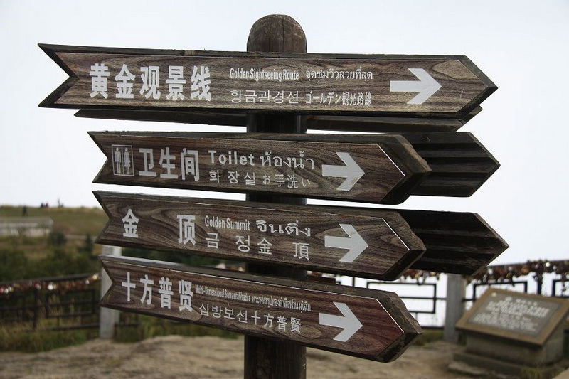 _MG_6291.JPG