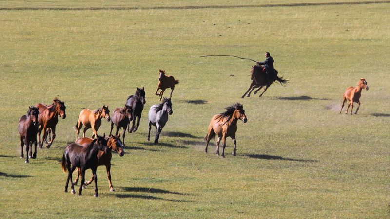 IMG_8778.JPG