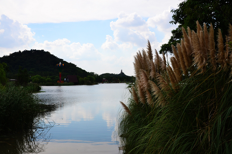 DSC_0480.jpg