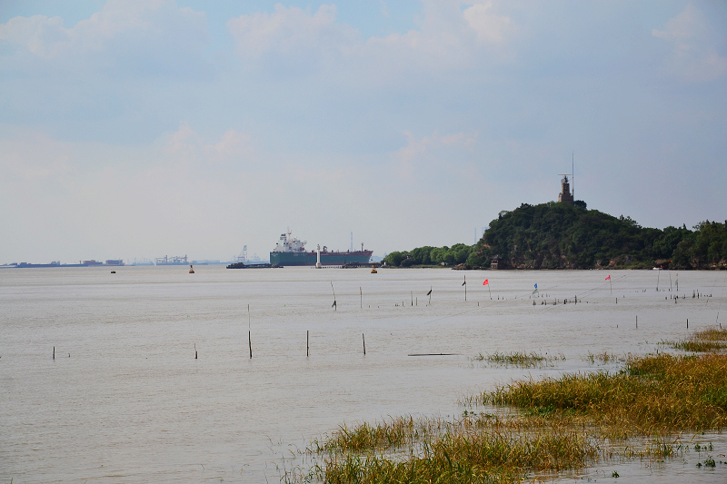 DSC_0512.jpg
