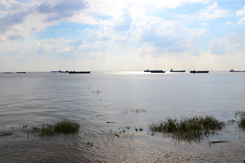 DSC_0517.jpg