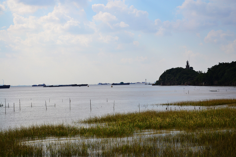 DSC_0543.jpg
