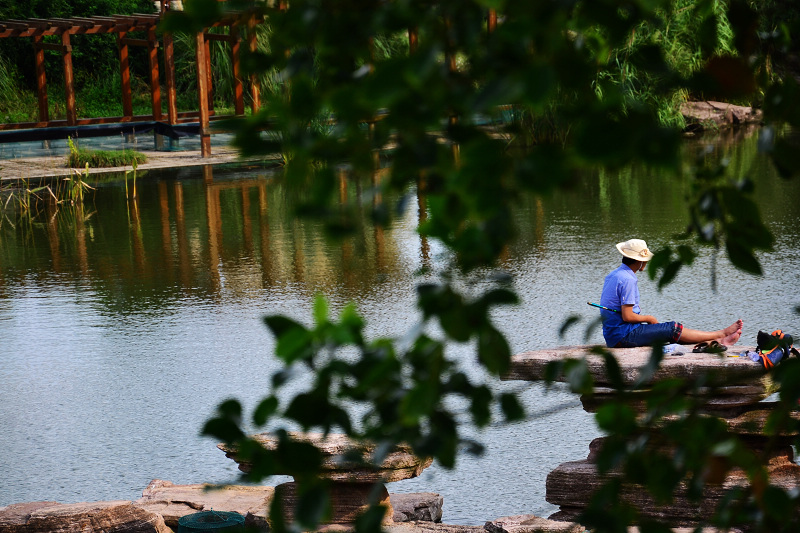 DSC_0554.jpg