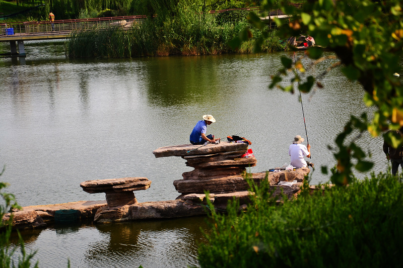 DSC_0557.jpg