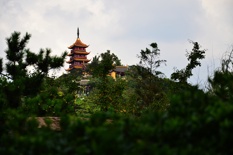 DSC_0561.jpg