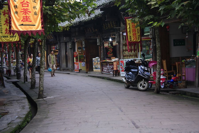 _MG_8157.JPG
