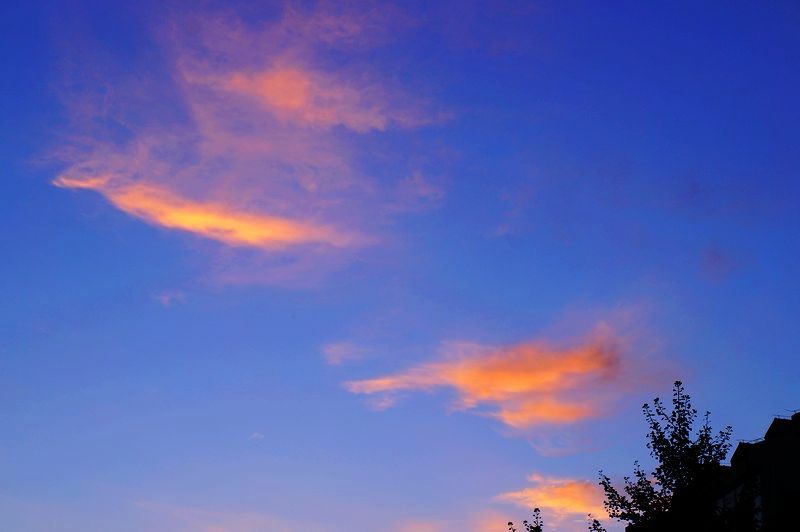 DSC01364.jpg