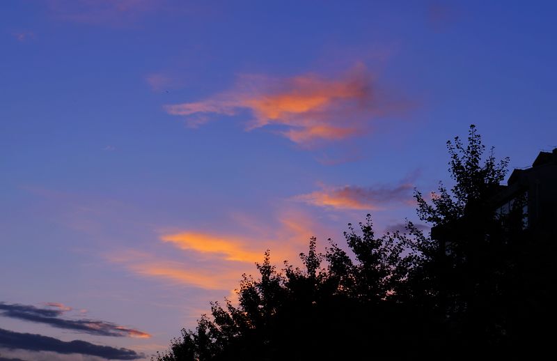 DSC01366.jpg