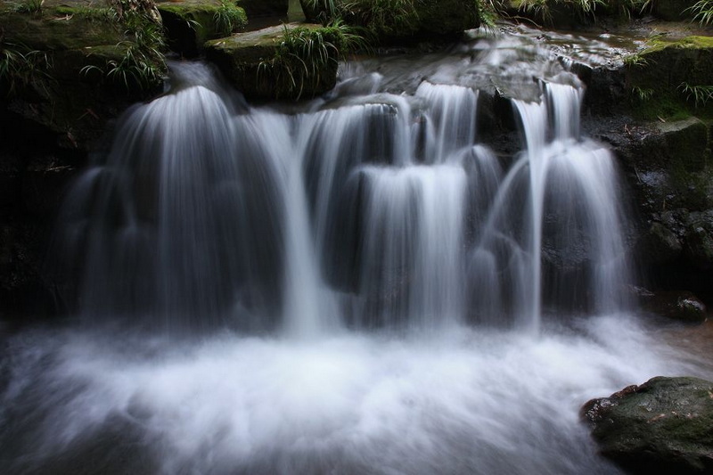 _MG_7982.JPG