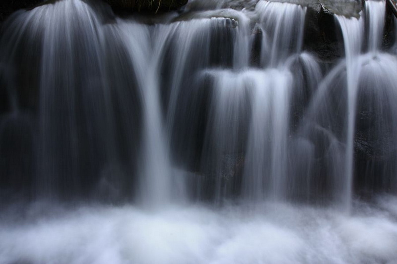 _MG_7977.JPG