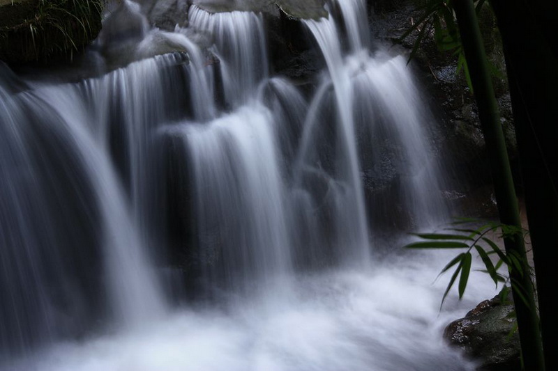 _MG_7984.JPG