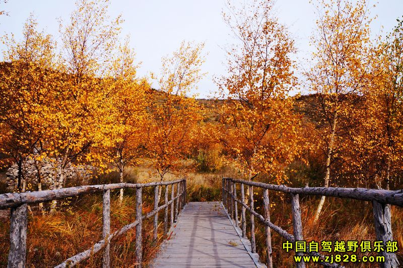 092053r61fqqvzvlm6j9qt.jpg