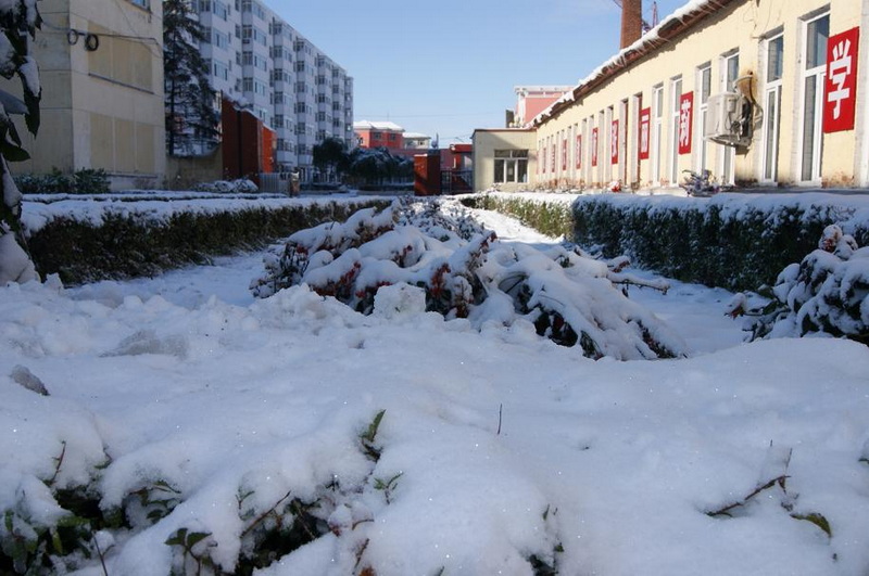 白雪皑皑