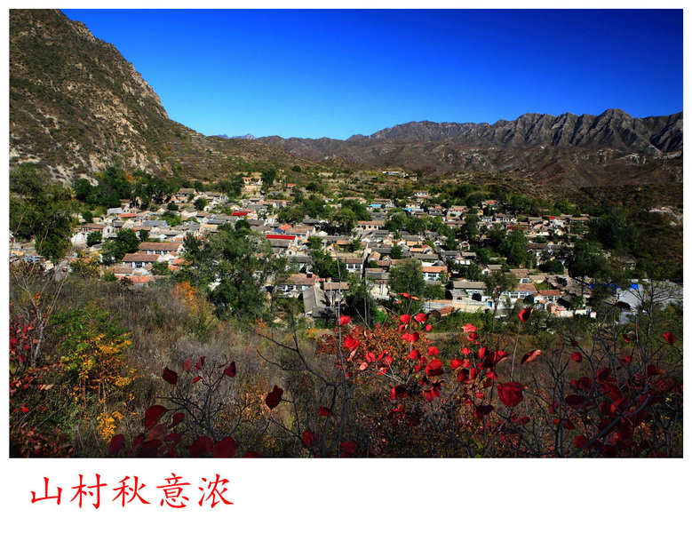 山村秋意浓_副本.jpg