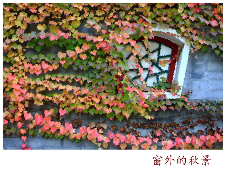 窗外的秋色1_副本.jpg