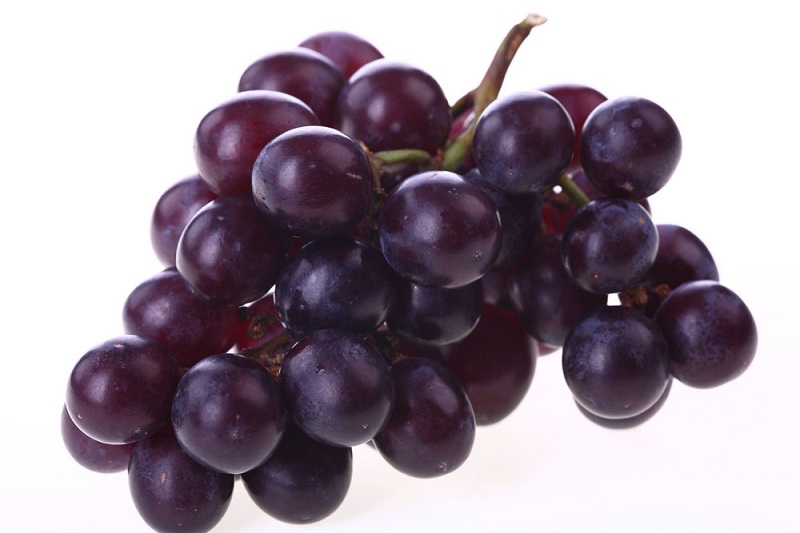 紫葡萄.jpg