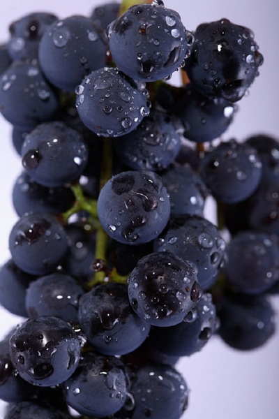 黑葡萄.jpg