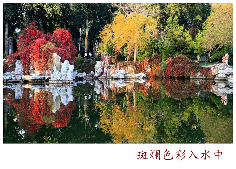 龙潭湖秋色_副本.jpg