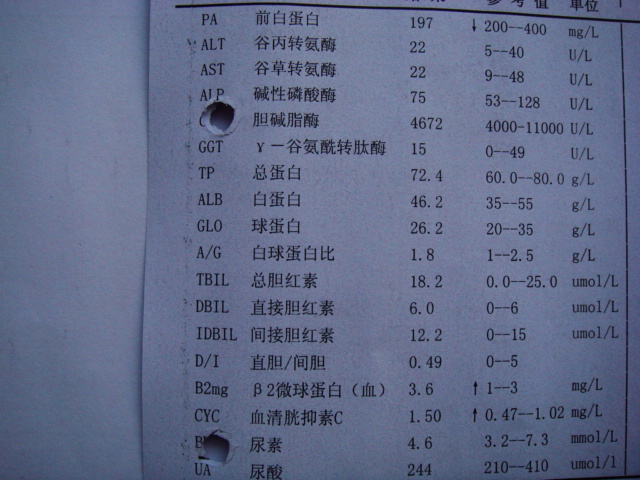 DSC08680.JPG