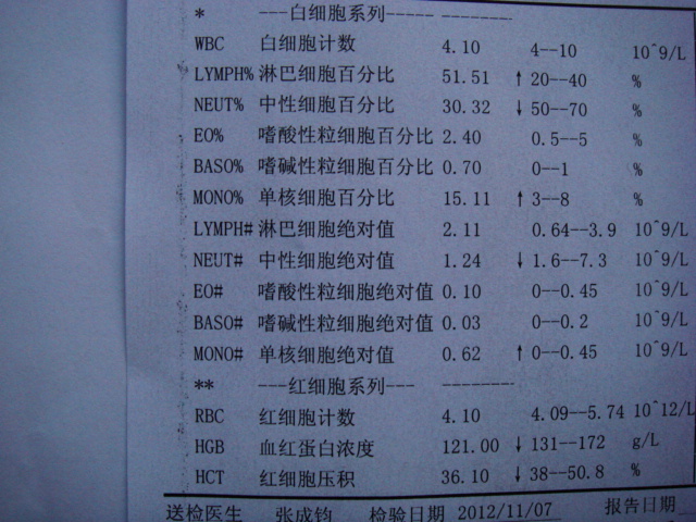 11月7日血常规结果