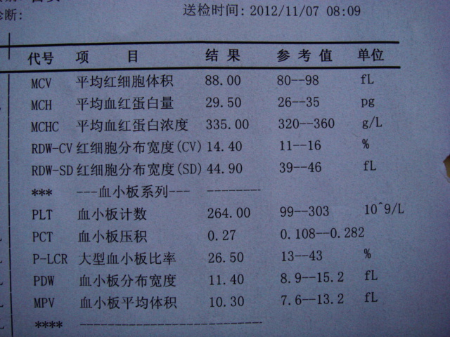11月7日血常规结果