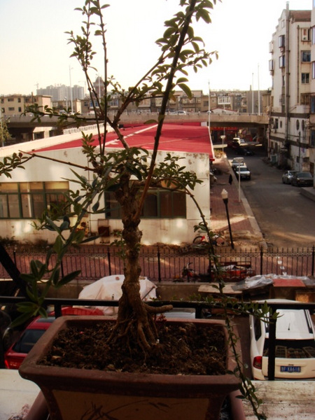 DSC08687.JPG