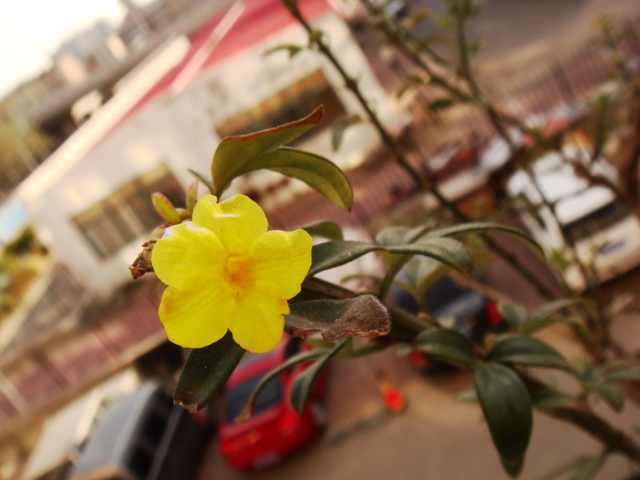 DSC08690.JPG
