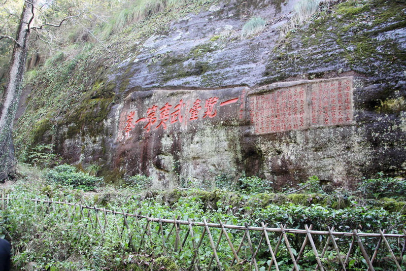照片 1389.jpg