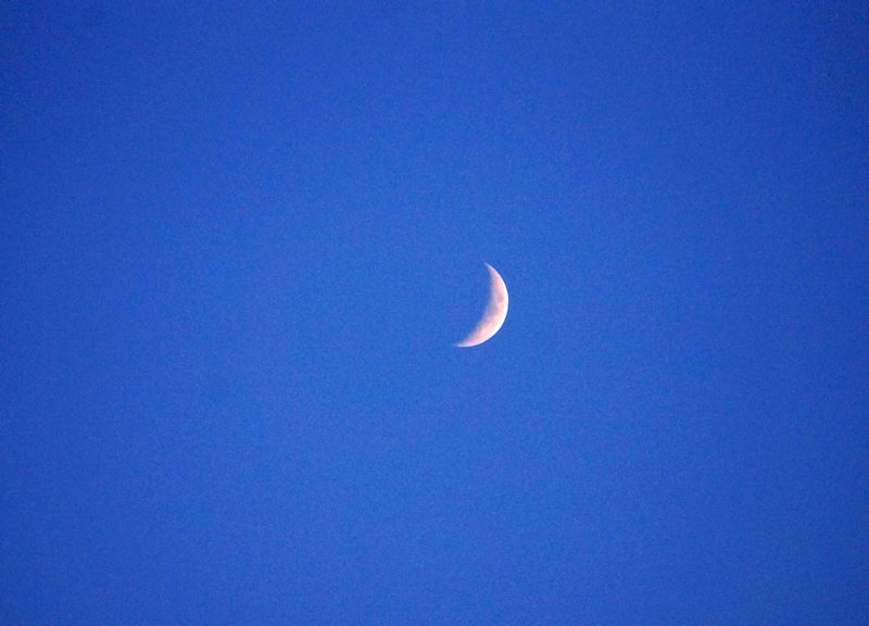 DSC02195.jpg