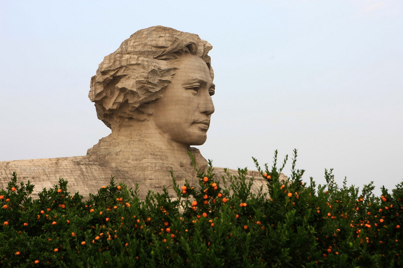 橘子洲头，橘子熟透.jpg