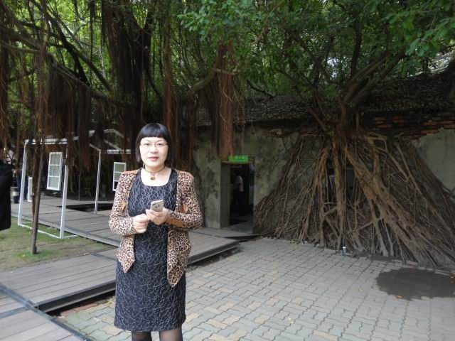 安平树屋--不知是树缠屋，还是屋绕树.jpg
