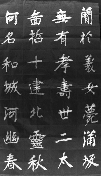 照片 1518.jpg