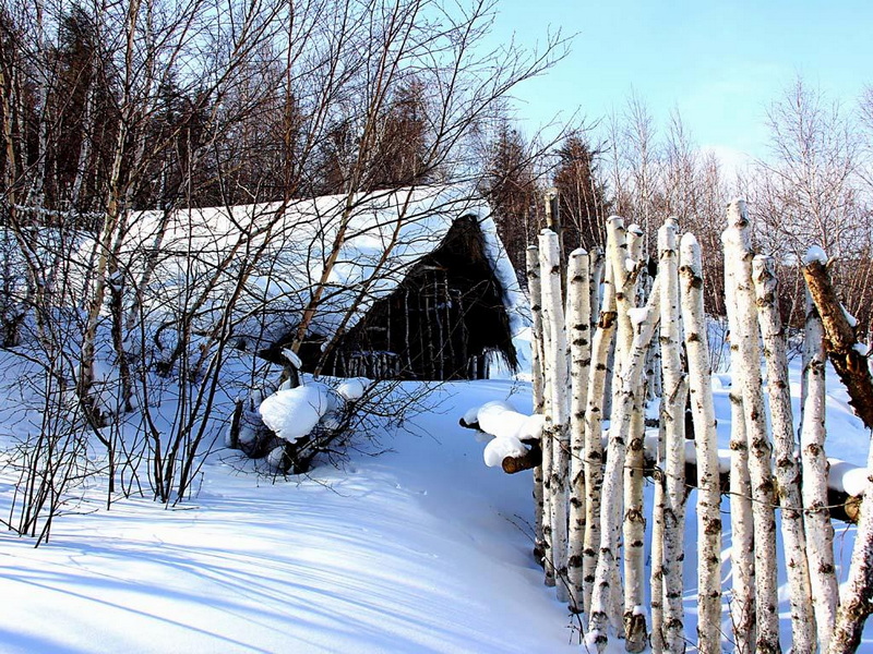 IMG_3531.JPG