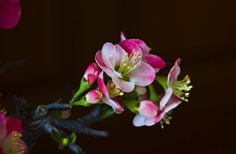DSC_6139a.jpg