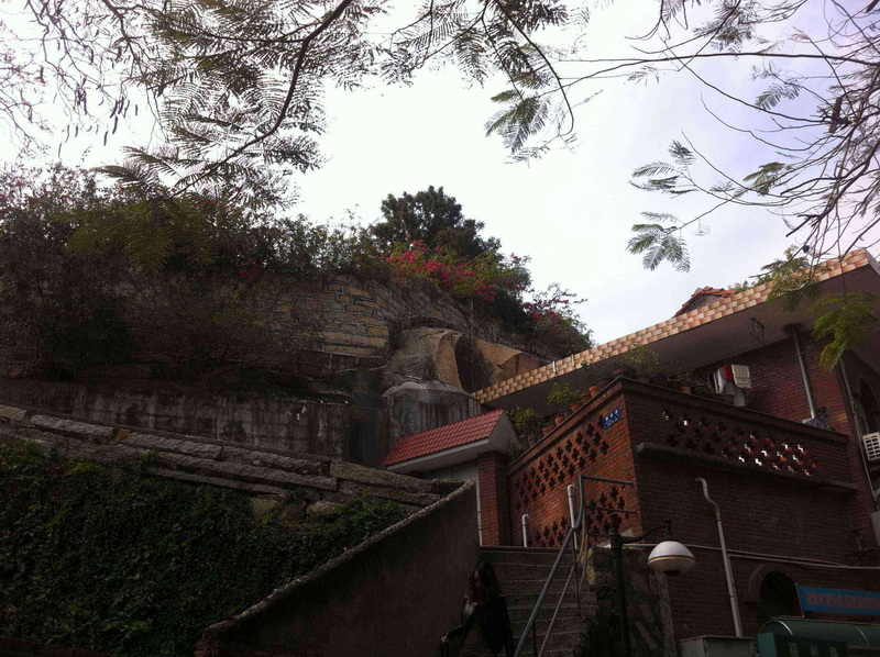 照片 418.jpg