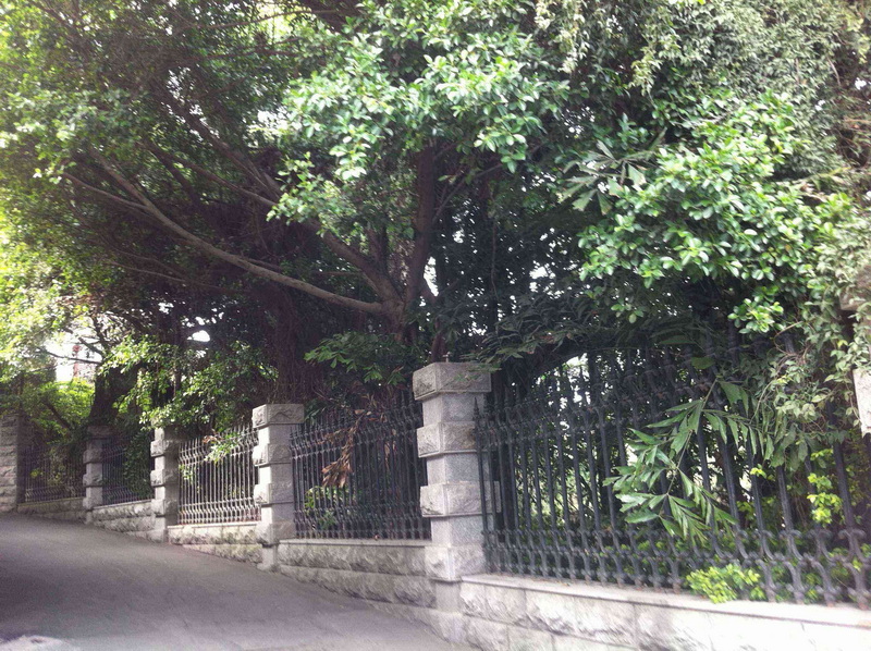 照片 425.jpg