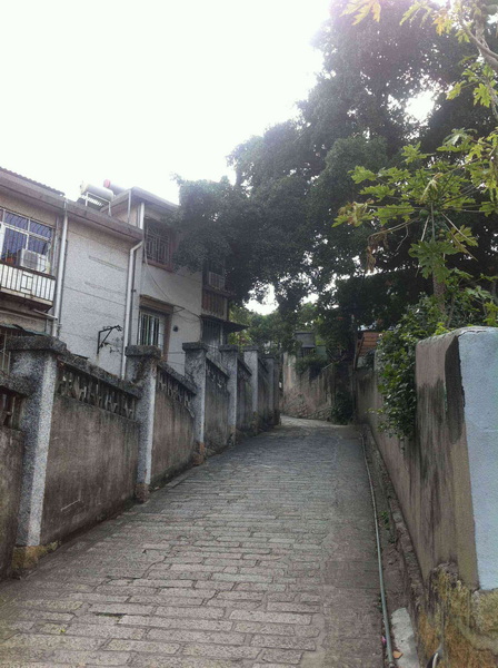 照片 433.jpg