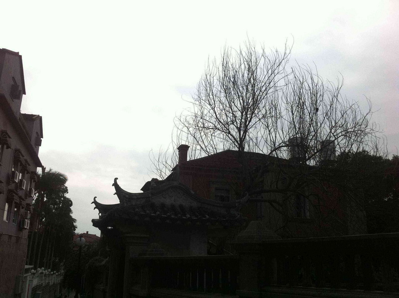 照片 441.jpg