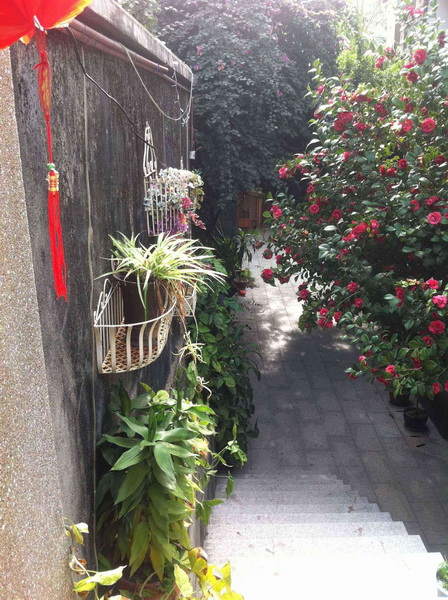 照片 444.jpg