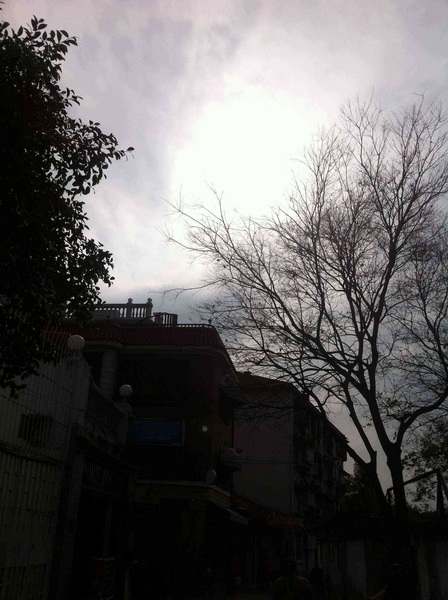 照片 455.jpg